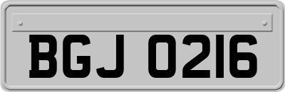BGJ0216