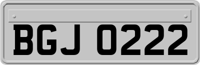 BGJ0222