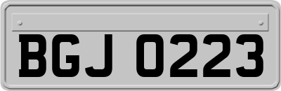 BGJ0223