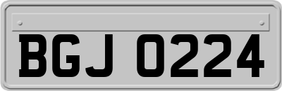 BGJ0224