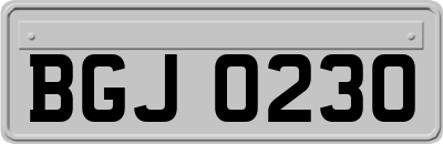 BGJ0230