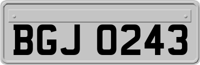 BGJ0243
