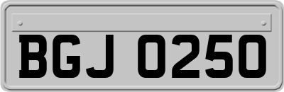 BGJ0250