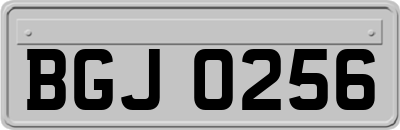 BGJ0256