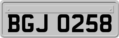 BGJ0258