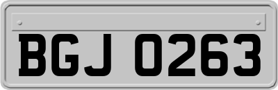BGJ0263