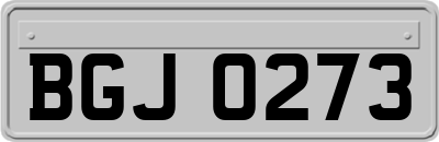 BGJ0273