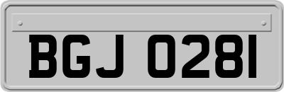 BGJ0281