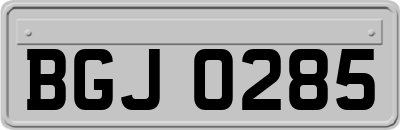 BGJ0285