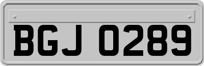BGJ0289