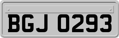 BGJ0293