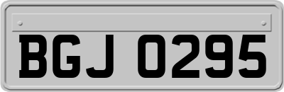 BGJ0295