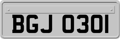 BGJ0301