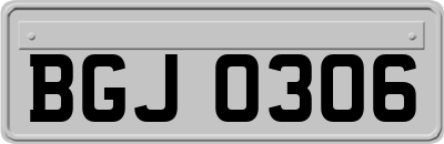 BGJ0306