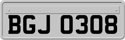 BGJ0308
