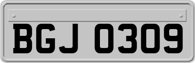 BGJ0309