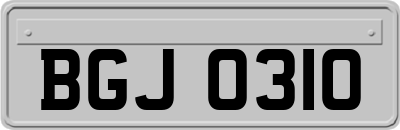 BGJ0310
