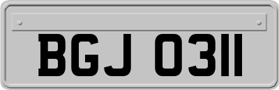 BGJ0311