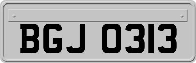 BGJ0313
