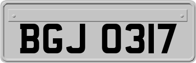 BGJ0317