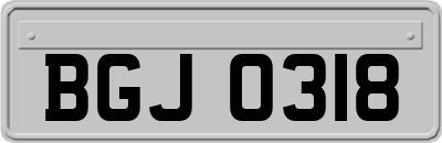 BGJ0318