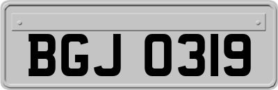 BGJ0319