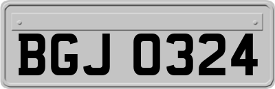 BGJ0324