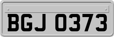 BGJ0373