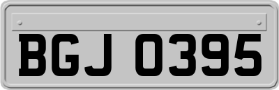BGJ0395