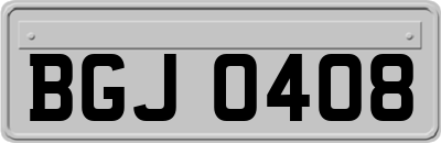 BGJ0408