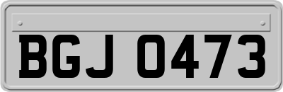 BGJ0473