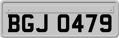 BGJ0479