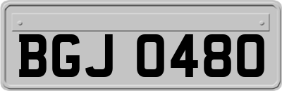 BGJ0480