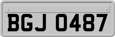 BGJ0487