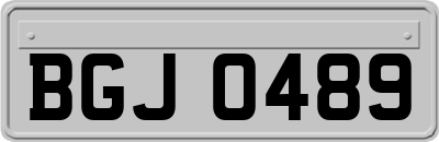 BGJ0489