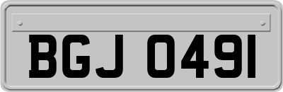 BGJ0491