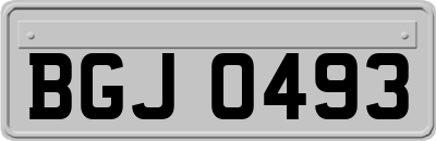 BGJ0493