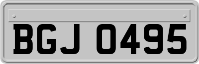 BGJ0495