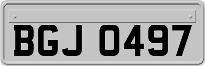 BGJ0497
