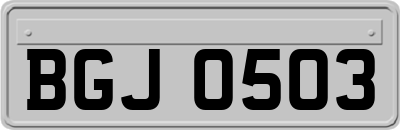 BGJ0503