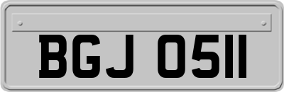 BGJ0511