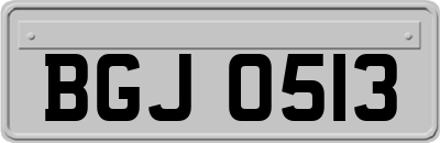 BGJ0513