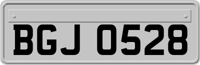 BGJ0528