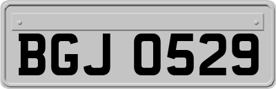 BGJ0529