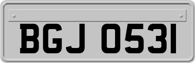 BGJ0531