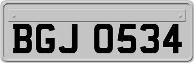 BGJ0534