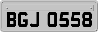 BGJ0558