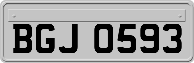 BGJ0593