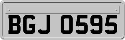 BGJ0595