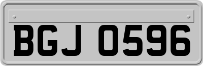 BGJ0596